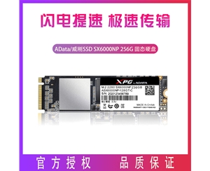 AData/威剛SX6000NP256G XPG PCIE固態(tài)硬盤(pán) M.2接口2280 NVME