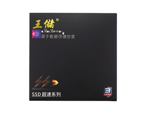 王儲 X100-512GB SSD固態(tài)硬盤SATA3.O接口臺式機(jī)筆記本通用2.5英寸