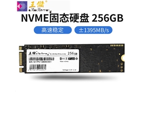 王儲（X2513）256G固態(tài)硬盤 M.2接口 NVMe協(xié)議 PCIe 2280筆記本臺式機(jī)通用【NVMe協(xié)議 2280】