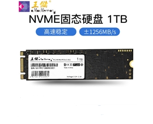 王儲（X2513）1TB固態(tài)硬盤 M.2接口 NVMe協(xié)議 PCIe 2280筆記本臺式機(jī)通用【NVMe協(xié)議 2280】